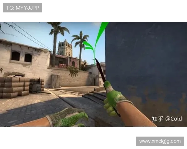 CSGO新手必看快速入门攻略助你轻松上手游戏技巧与战术解析