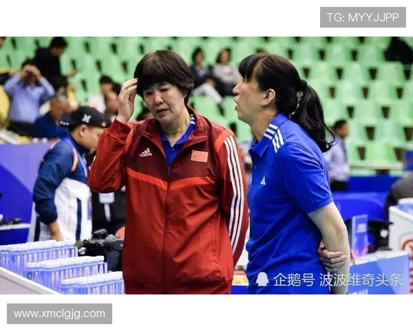 上海排球队的转型之路与未来发展趋势深度解析 上海排球队的转型之路与未来发展趋势深度解析