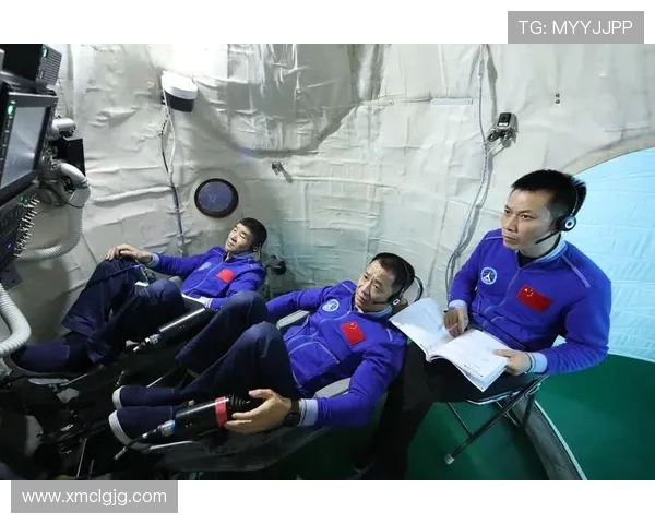 专访刘军揭秘乒乓球成功秘诀与训练背后的故事