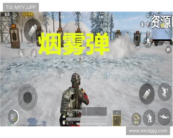 和平精英热点分析：LNG战队区域防守策略及其影响解读