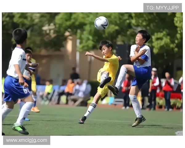 广州飞盘队状态引发热议球迷对表现分歧明显