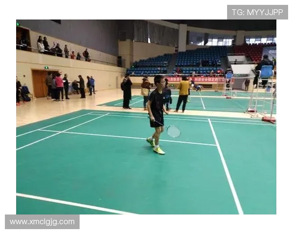 成都与西安羽毛球队对决赛后总结与经验分享