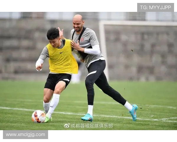 成都篮球队战术解析与发展趋势探讨聚焦篮球运动的未来之路