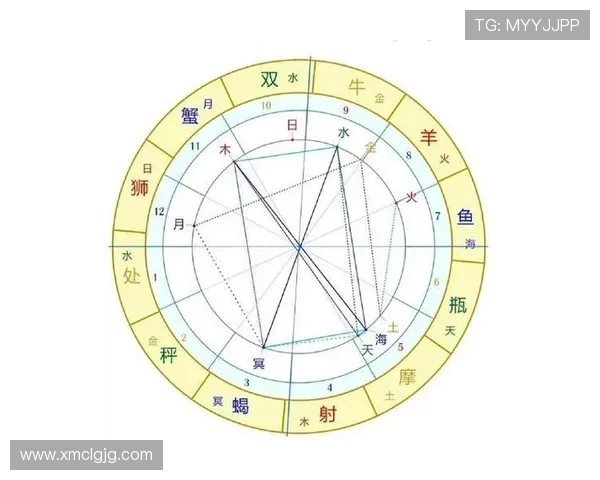 杭州排球队节奏对比分析揭示战术变化与球队表现的深层关系 杭州排球队节奏对比分析揭示战术变化与球队表现的深层关系
