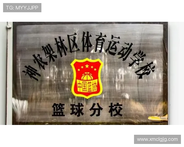 科学篮球意识训练方法的创新探索与实践应用分析 科学篮球意识训练方法的创新探索与实践应用分析