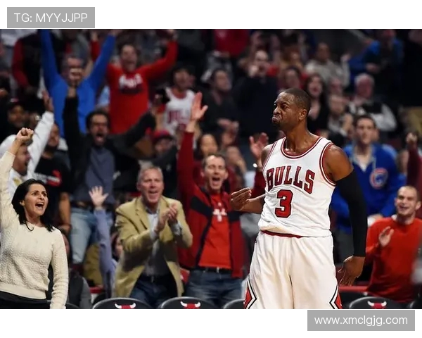 韦德与国王激烈对抗赛场精彩瞬间回顾与分析