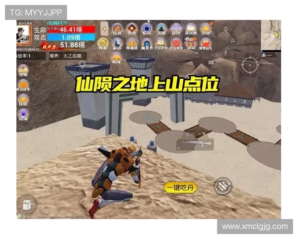 和平精英赛事分析:WE战队在比赛中的经验与策略分享