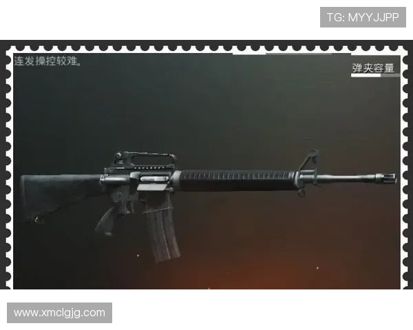 王秀英独家分享和平精英游戏技巧与心得体会助你成为战场高手