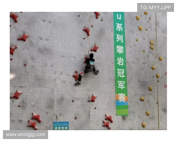 北京攀岩队在攀岩比赛中创下新高经验排名引发广泛关注与赞誉