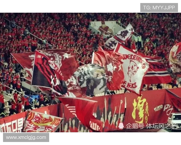 南京排球队的实力之争引发热议球迷与专家的观点碰撞解析